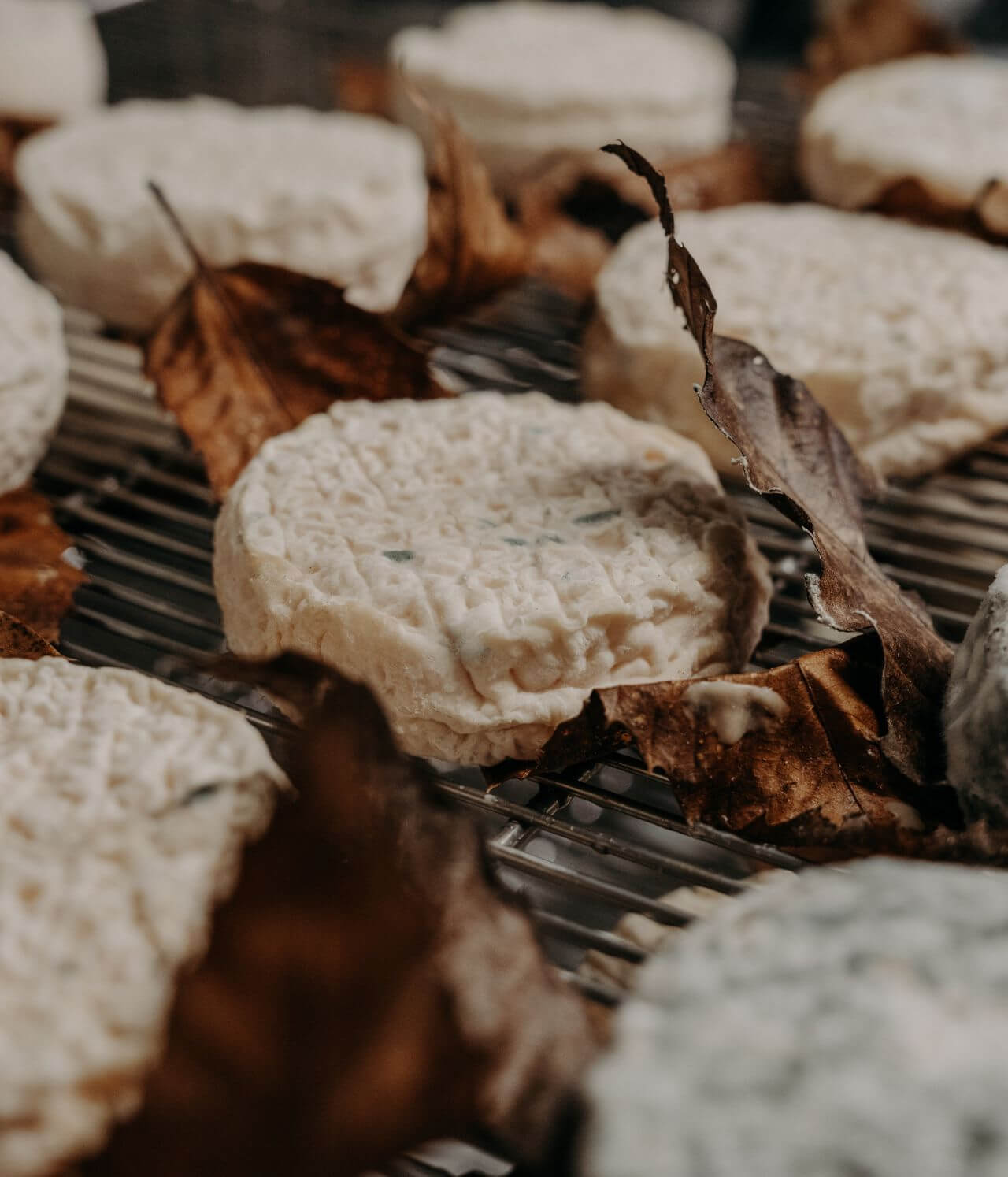 fromage de chèvre au lait cru Mothais sur feuille affiné 